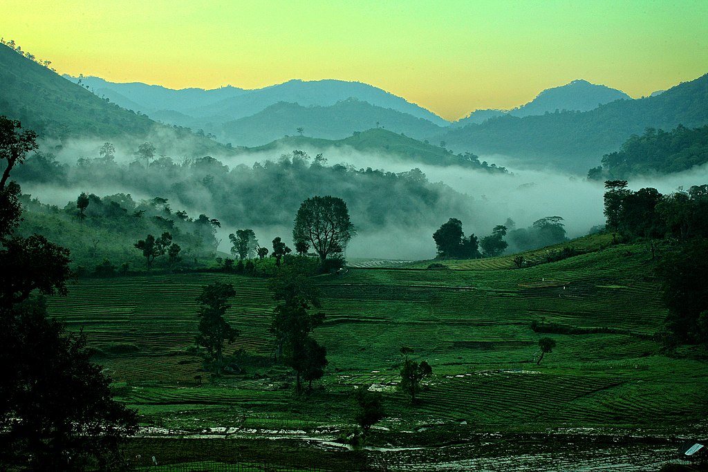 1024px-Misty_Morning_-_Sri_Lanka