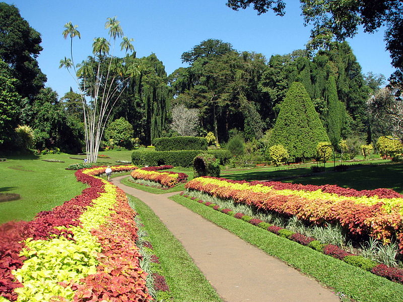 peradeniya botanoical garden