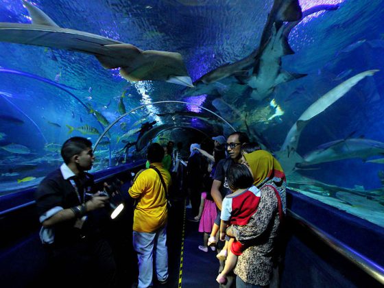 Underwater_tunnel_in_Aquaria_KLCC