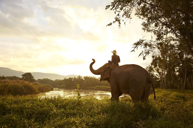 Elephant_and_Mahout , Golden triangle