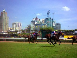 Horse Racing Bangkok