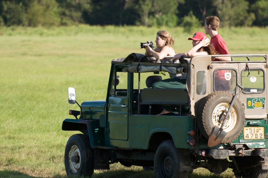 Elephant watching in Wasgamuwa National Park