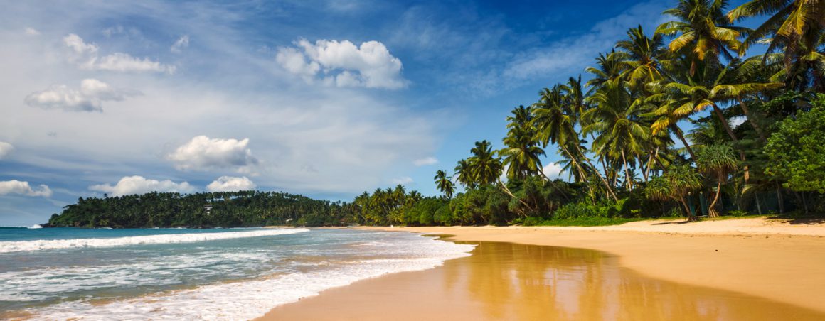 Golden Beaches of Sri Lanka