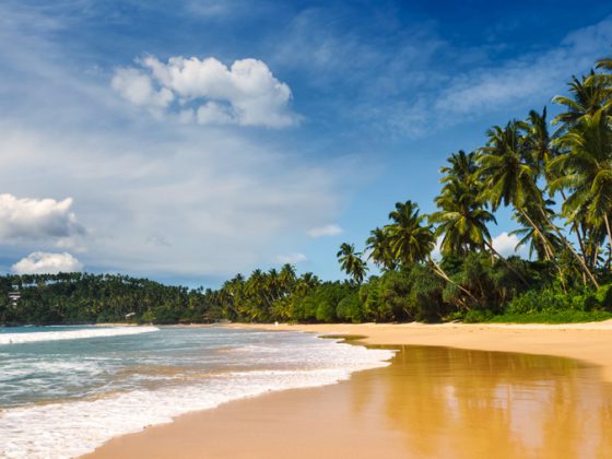 Golden Beaches of Sri Lanka