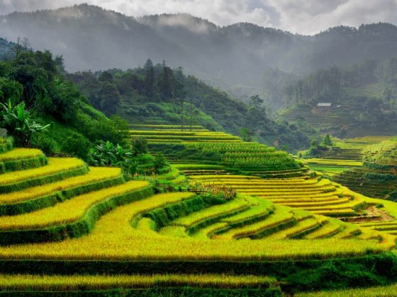 Travel in Asia