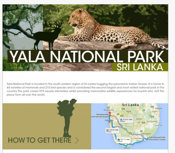 Yala national park