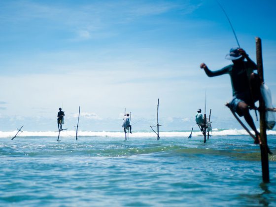 Stick_fishermen_of_Sri_Lanka