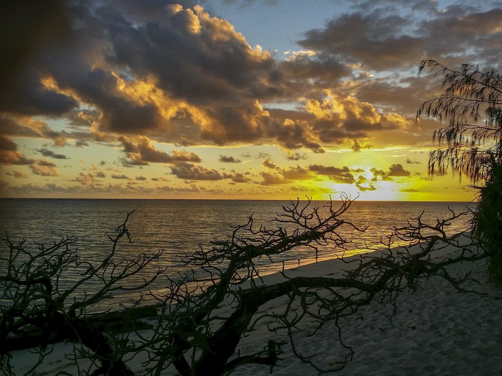 Heron Island, Australia