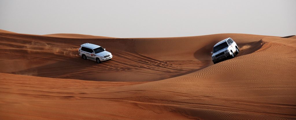 Desert Safari