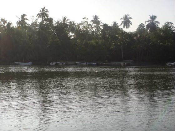 Motor boat park at Pol-oya outlet, Koggala Lagoon