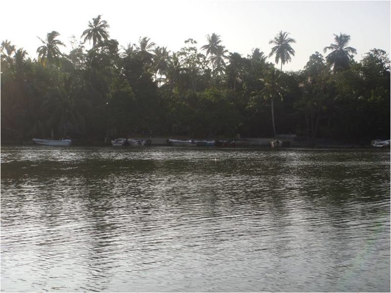 Motor boat park at Pol-oya outlet, Koggala Lagoon