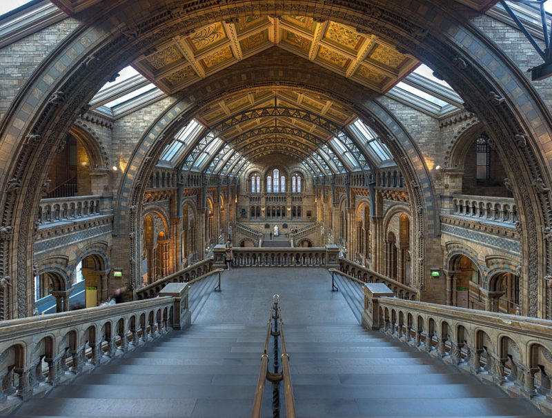 The Natural History Museum | Image Crdit - Diliff, CC BY-SA 3.0 via Wikipedia Commons