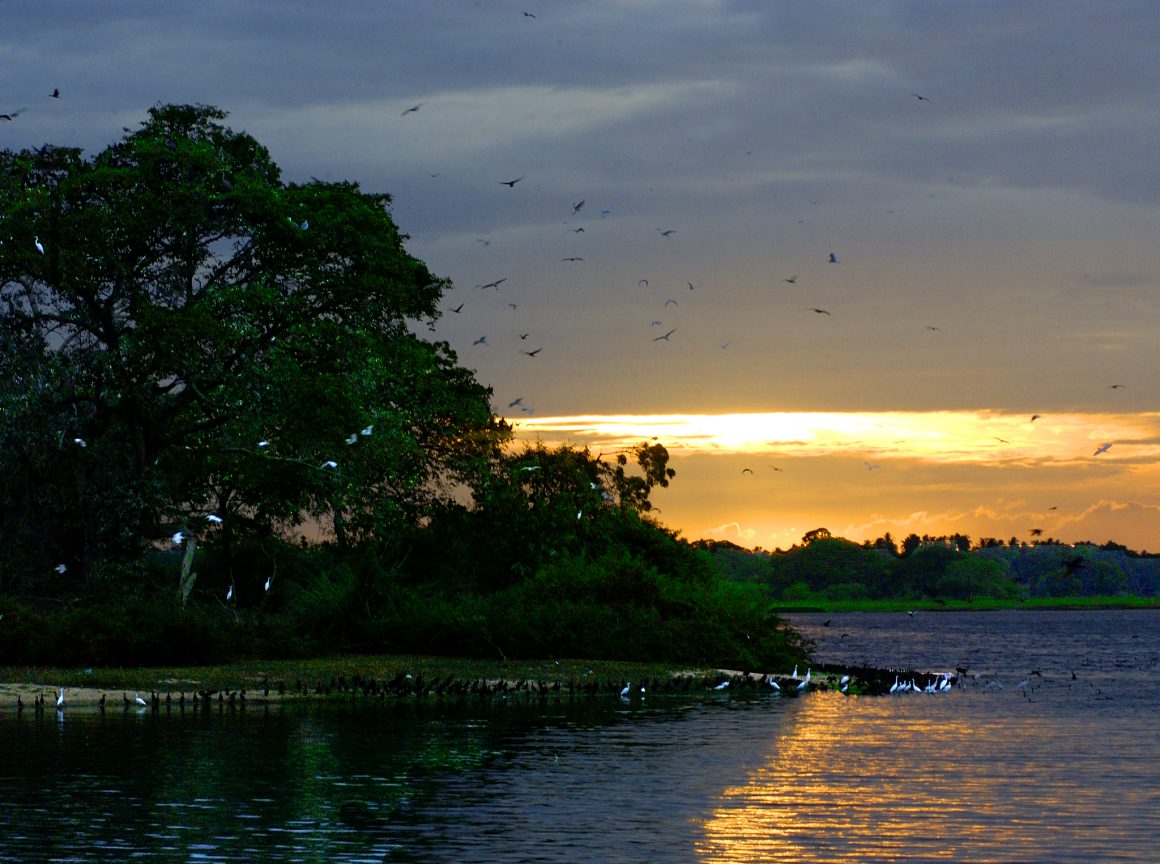 Wildlife Preserve Near Kirinda