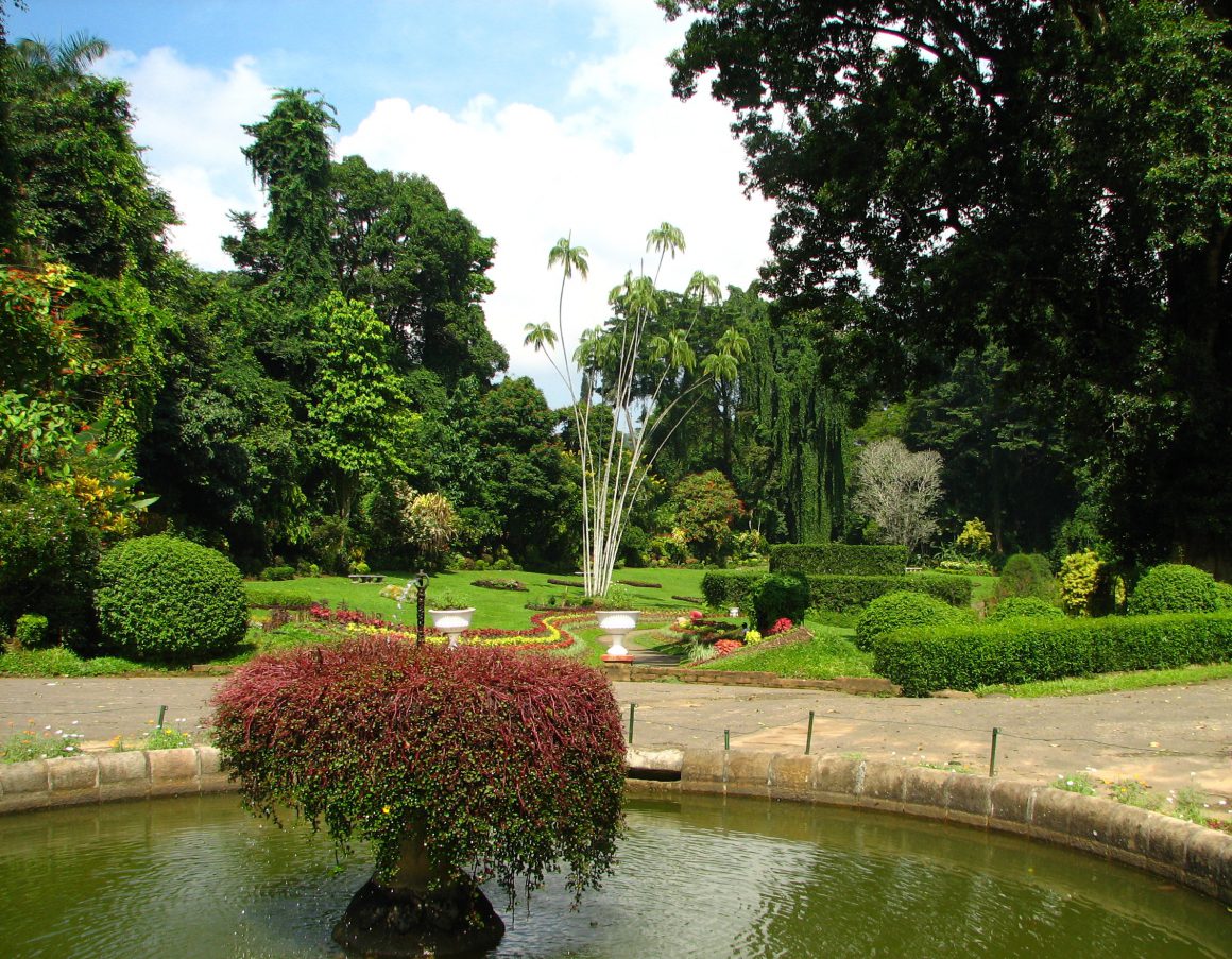 Kandy Botanical Garden, Sri Lanka