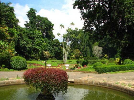 Kandy Botanical Garden, Sri Lanka