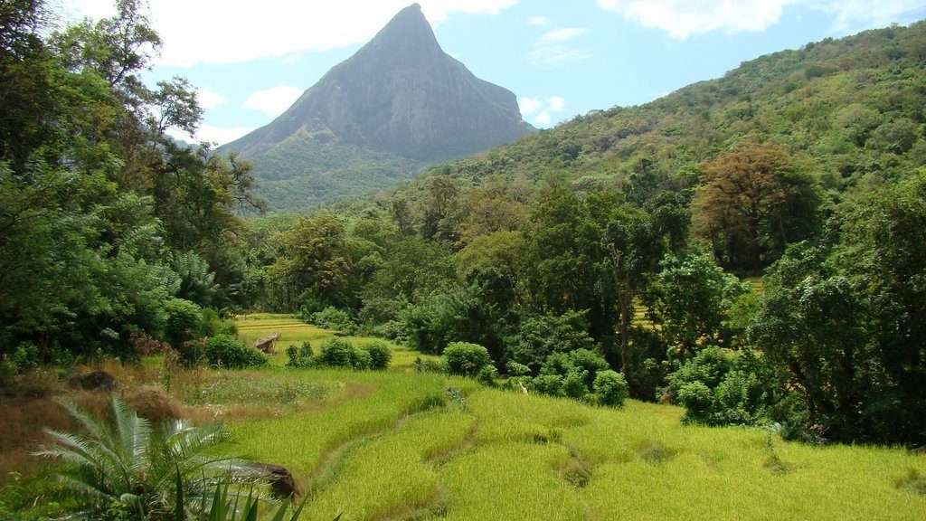 Lakegala, Meemure