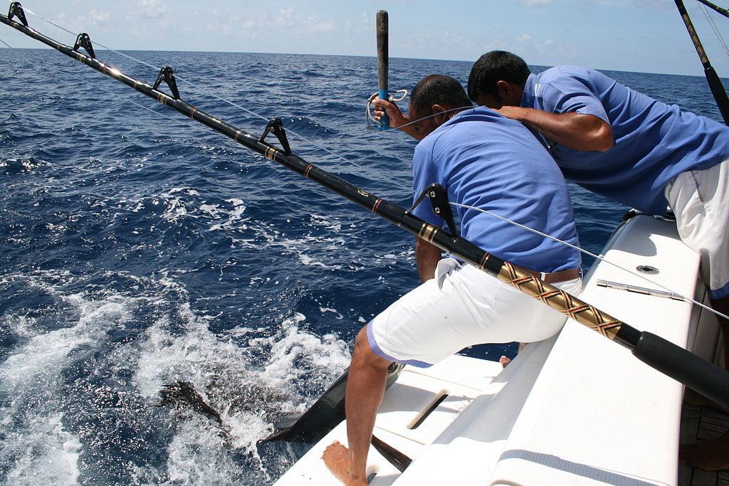 Maldives Fishing | Image Courtesy: CS Jay , Maldivesfish3 , CC BY 2.0