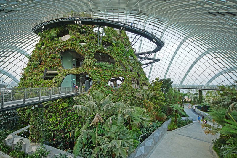 Gardens by the Bay Singapore | Image Credit: Allie Caulfield., Cloud Forest, Gardens by the Bay, Singapore - 20120617-05, CC BY 2.0