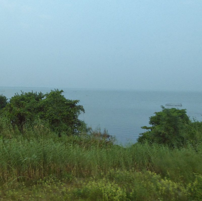 Muthurajawela | Image Credit: Николай Максимович, Negombo Lagoon (Muthurajawela marsh), Sri Lanka - panoramio, CC BY 3.0