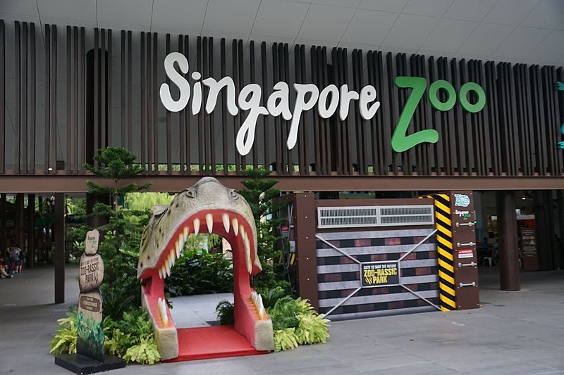 Singapore Zoo | Image Credit - Dan arndt, CC BY-SA 4.0 Via Wikimedia Commons