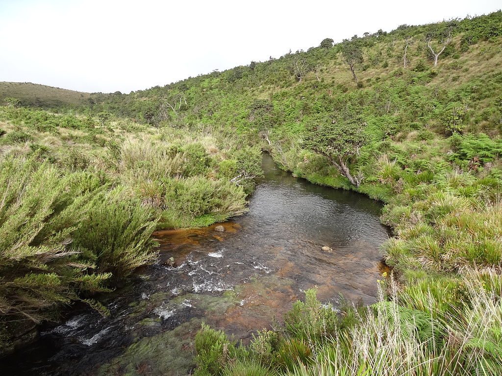 Horton Plains | Image Credit: Cherubino , Horton Plains National Park 12 , CC BY-SA 3.0