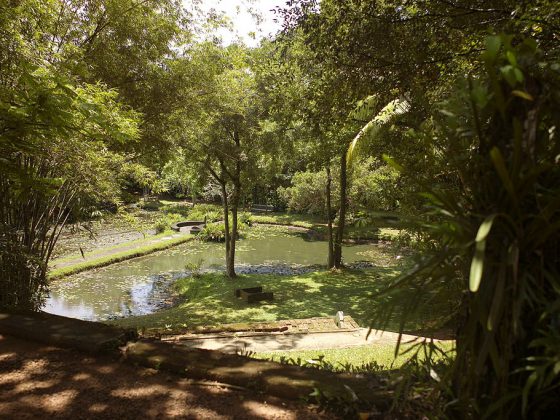 Brief Garden | Image Credit: Labeet, Lunuganga, Bentota, Sri Lanka., CC BY-SA 3.0