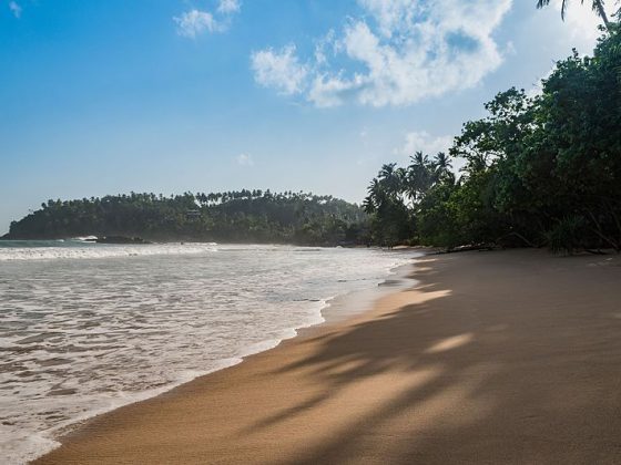Mirissa beach Sri Lanka | Image Credit - dronepicr CC BY 2.0 Via Wikimedia Commons