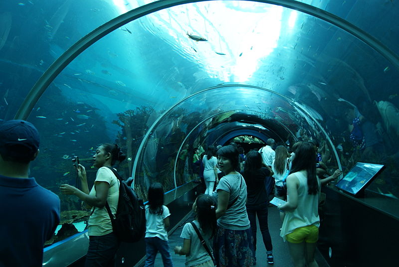 S.E.A. Aquarium, Marine Life Park, Resorts World Sentosa, Singapore | Image Credit - Smuconlaw, CC BY-SA 3.0 Via Wikimedia Commons