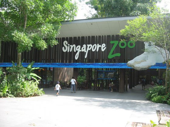 Singapore Zoo | Image Credit - No machine-readable author provided. Terence assumed (based on copyright claims), CC BY-SA 3.0 Via Wikimedia Commons