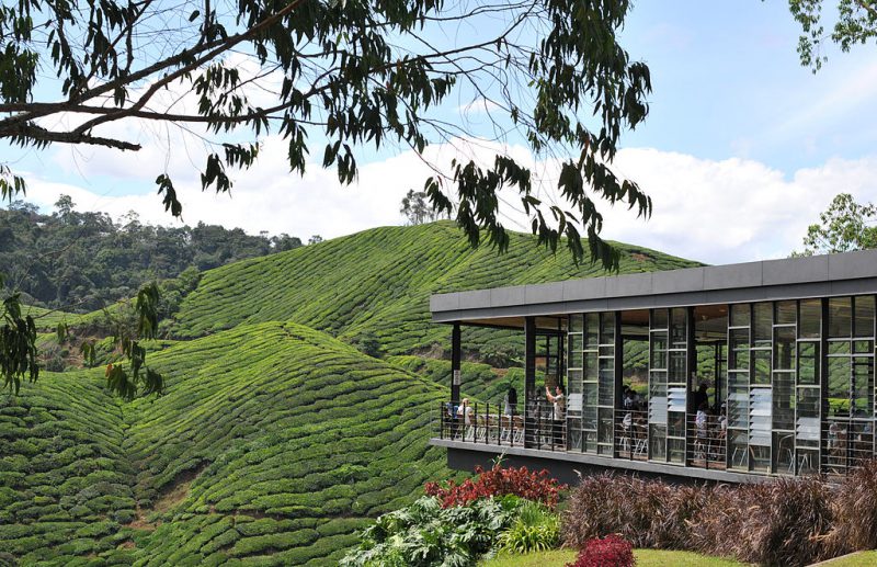 The Cameron Highlands