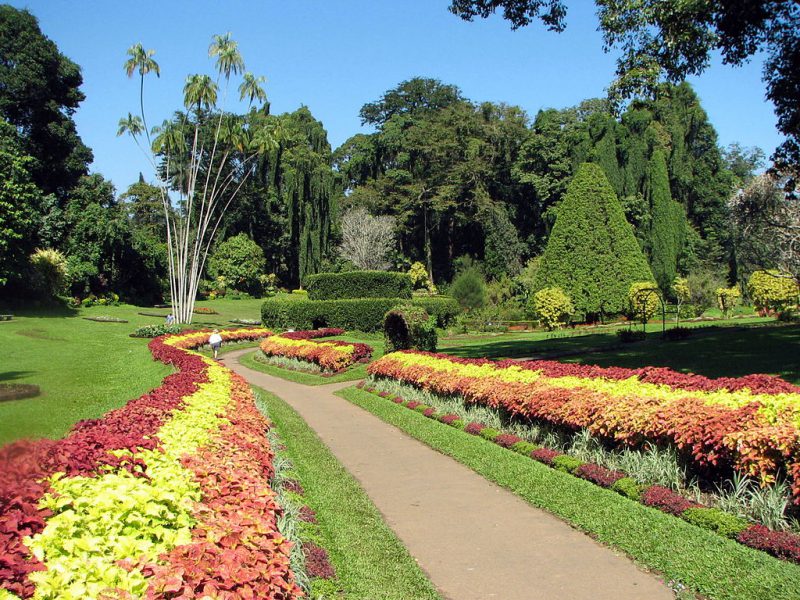 Hakgala Botanical Garden