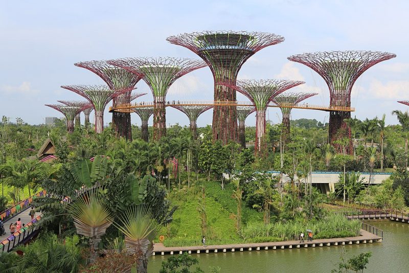 SuperTree Grove