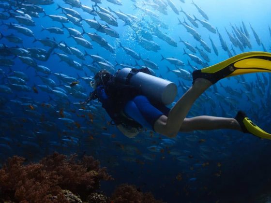 diving