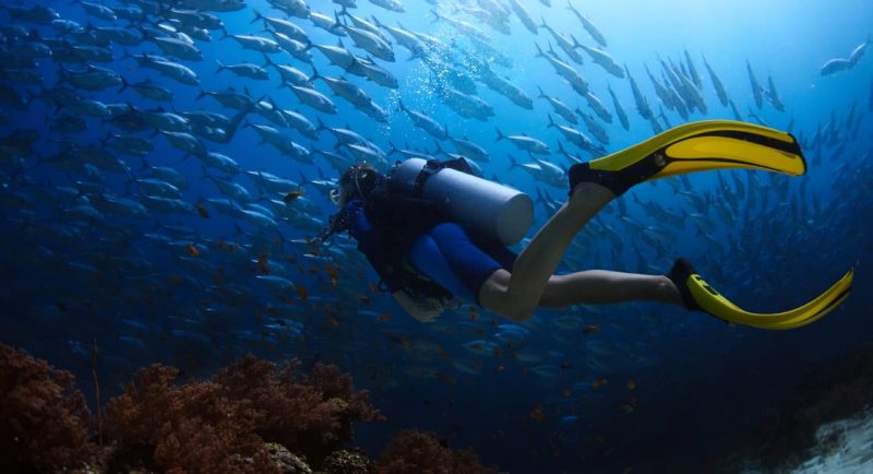 diving