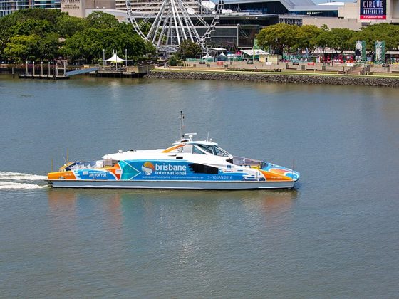 brisbane city cat