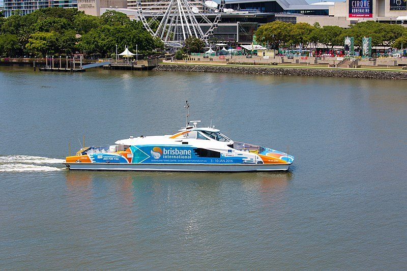 brisbane city cat