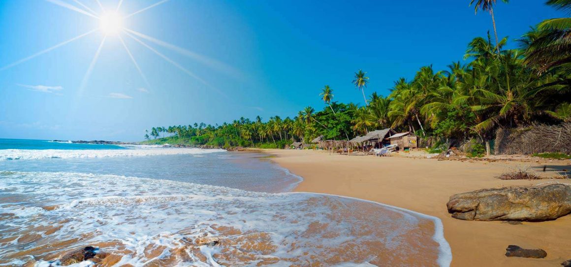 Beach Tours