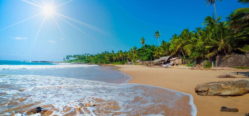 Beach Tours