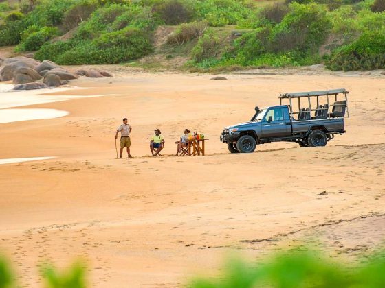 Yala Travel