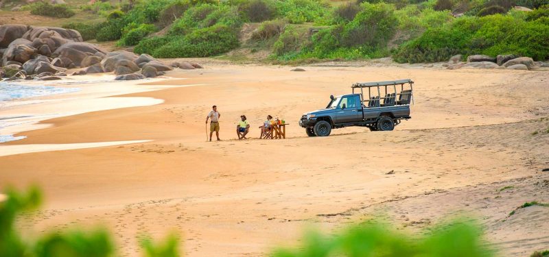 Yala Travel