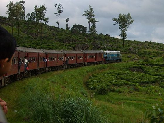 Travel on the Train