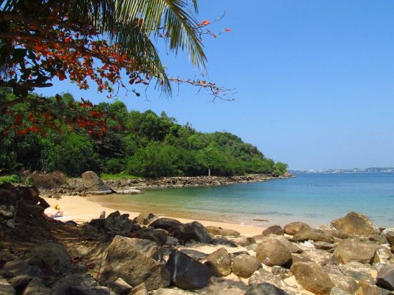 Jungle Beach