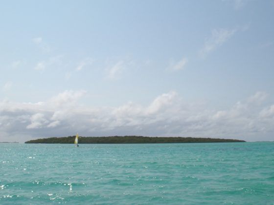 Ile aux Aigrettes Nature