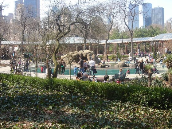 Zoo