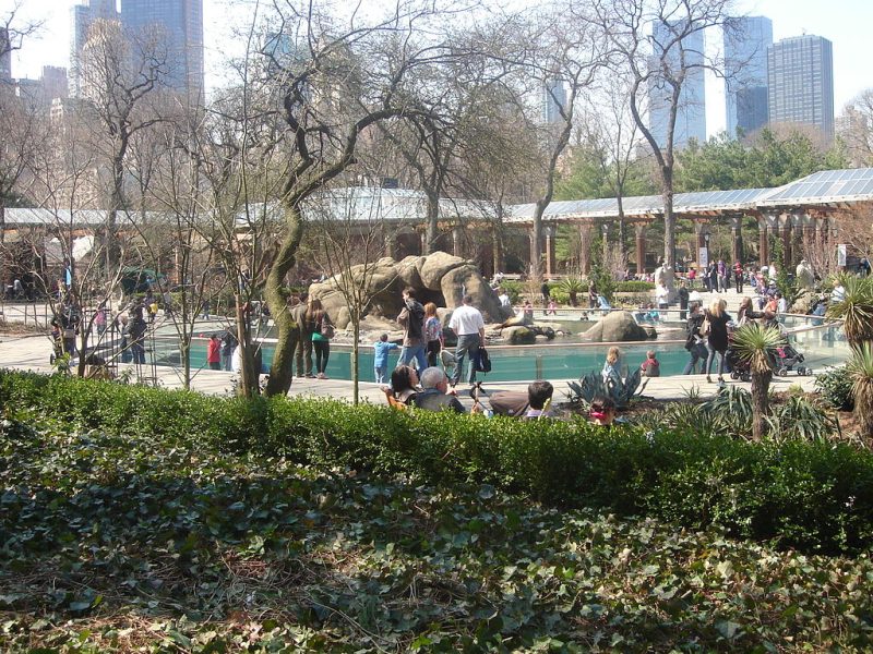 Zoo