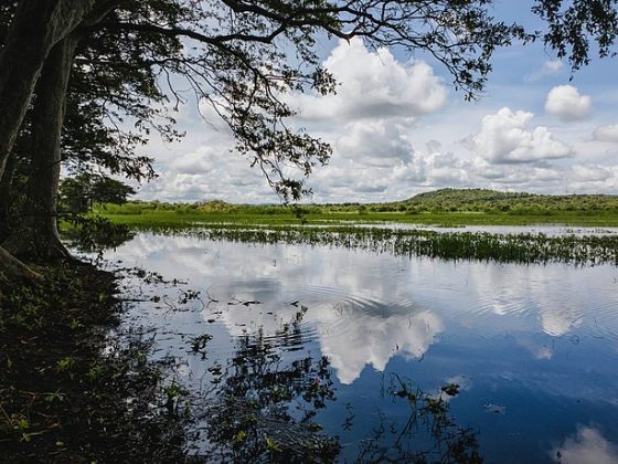 Habarana Lake