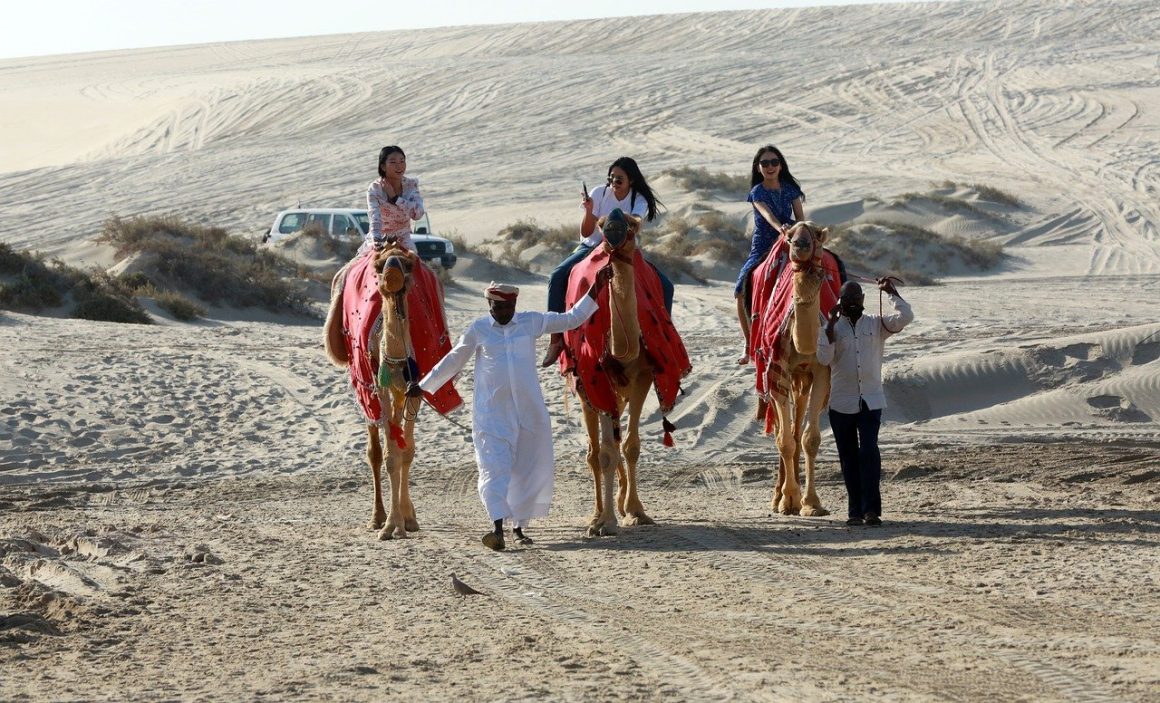 camels-g6ee240605_1280
