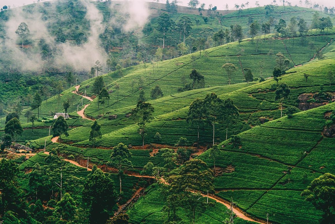 1280px-Nuwara-Eliya