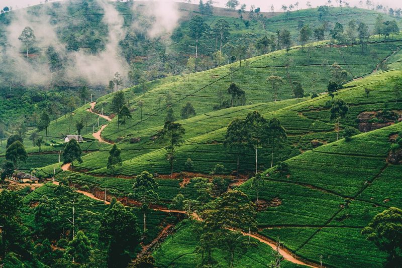 1280px-Nuwara-Eliya