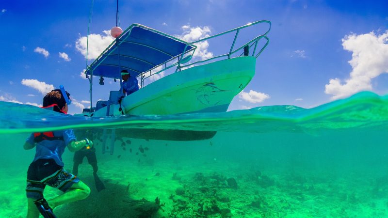Snorkelling